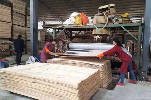 樱花动漫APP在线观看免费高清工人師傅正在塗膠